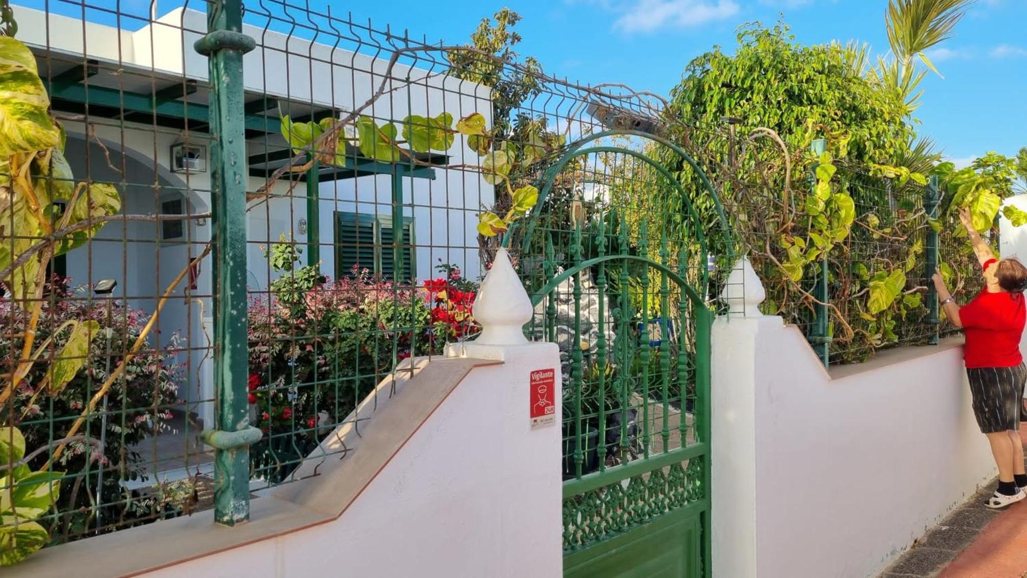 Apartamento Bungalows Isabel Maria Playa Blanca  Eksteriør billede