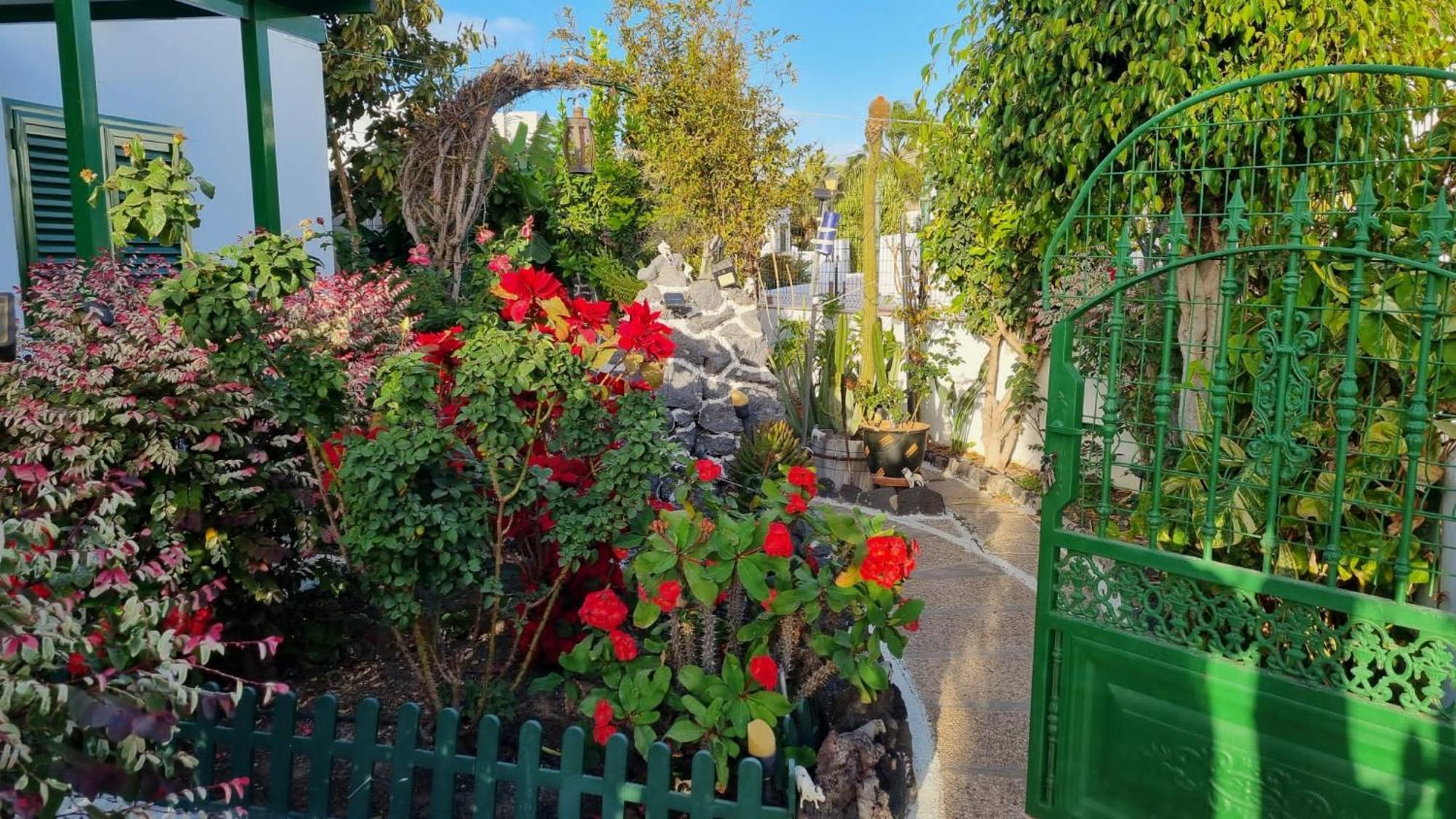 Apartamento Bungalows Isabel Maria Playa Blanca  Eksteriør billede